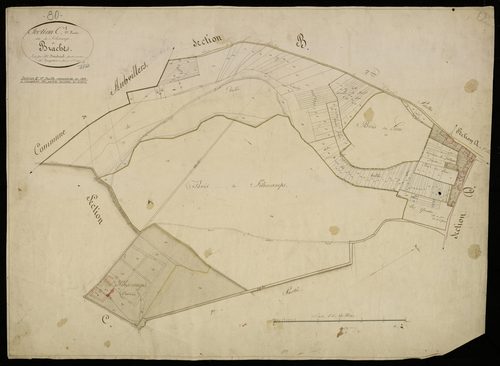 Plan du cadastre napoléonien - Braches (Brache) : Filescamps, C1