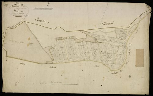 Plan du cadastre napoléonien - Braches (Brache) : Grand Champ (Le) ; Plein Senter (Le), B1