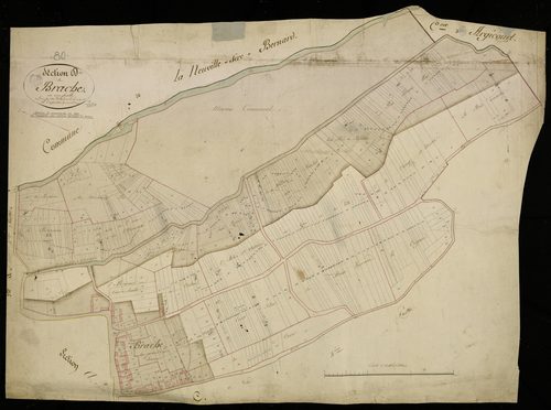 Plan du cadastre napoléonien - Braches (Brache) : D