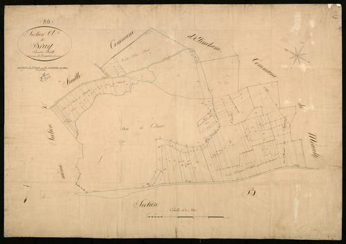 Plan du cadastre napoléonien - Bray-sur-Somme (Bray) : A1