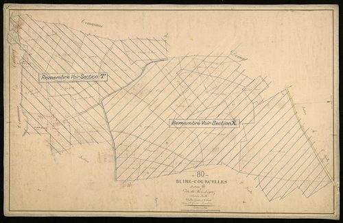 Plan du cadastre napoléonien - Buire-Courcelles : Bois Legrez (Le), B1