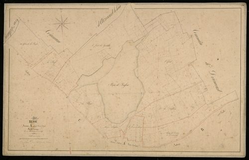Plan du cadastre napoléonien - Bussu : Bois de Bussu (Le), A