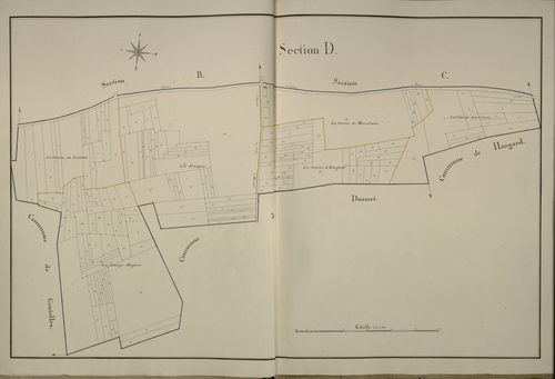 Plan du cadastre napoléonien - Cachy : D
