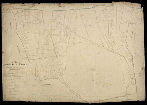 Plan du cadastre napoléonien - Cagny : Plat champ (Le), D