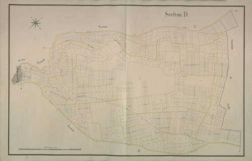 Plan du cadastre napoléonien - Caix : D