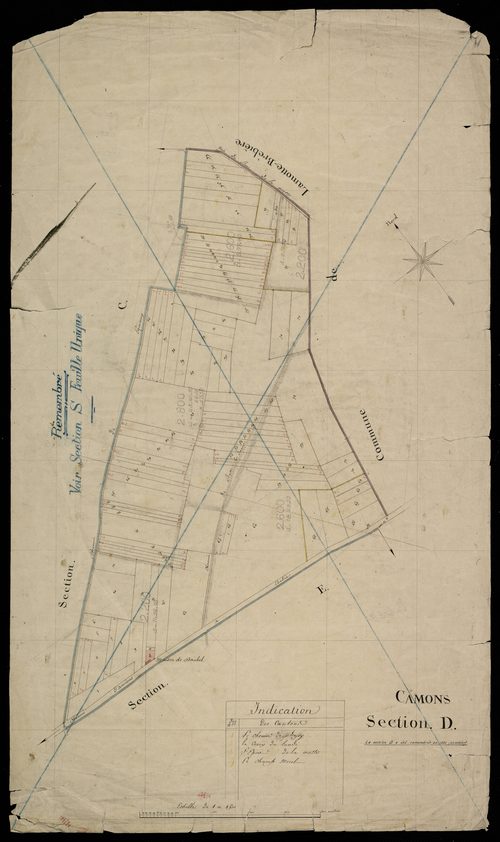 Plan du cadastre napoléonien - Camon (Camons) : D