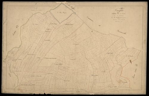 Plan du cadastre napoléonien - Canaples : Cocriamont (Le), B1