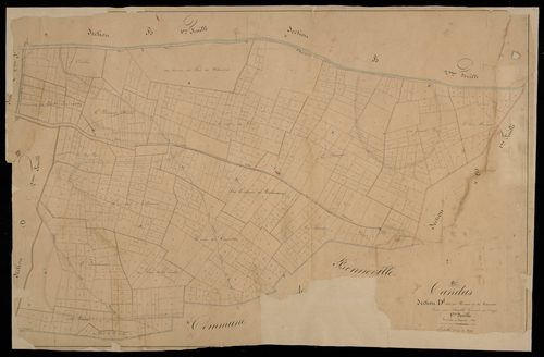 Plan du cadastre napoléonien - Candas : Bornes (Les) ; Vauvas (Le), D1