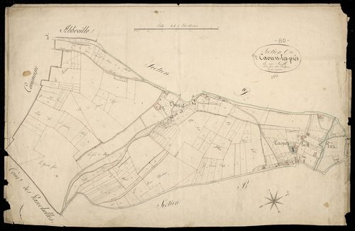 Plan du cadastre napoléonien - Caours (Caours les prés) : C