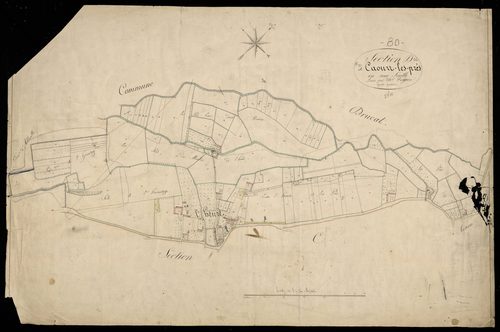 Plan du cadastre napoléonien - Caours (Caours les prés) : D