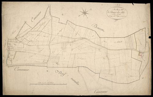 Plan du cadastre napoléonien - Caours (Caours les prés) : A