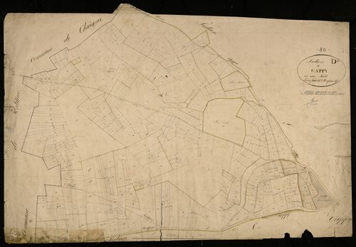 Plan du cadastre napoléonien - Cappy : D