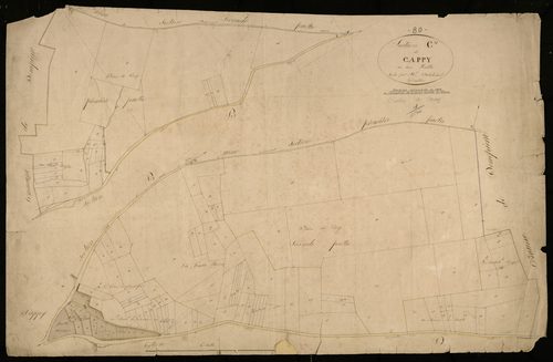 Plan du cadastre napoléonien - Cappy : C