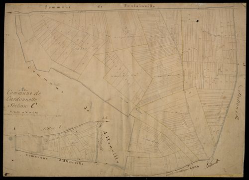Plan du cadastre napoléonien - Cardonnette : C