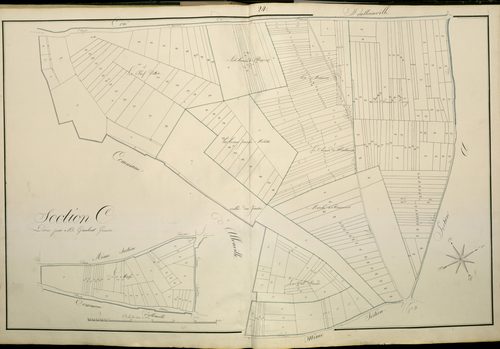 Plan du cadastre napoléonien - Atlas cantonal - Cardonnette : C