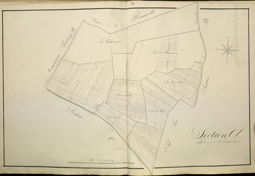 Plan du cadastre napoléonien - Atlas cantonal - Cardonnette : A