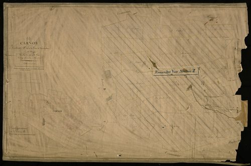 Plan du cadastre napoléonien - Carnoy : Plaine de Montauban (La), A et développement d'une partie de la section B