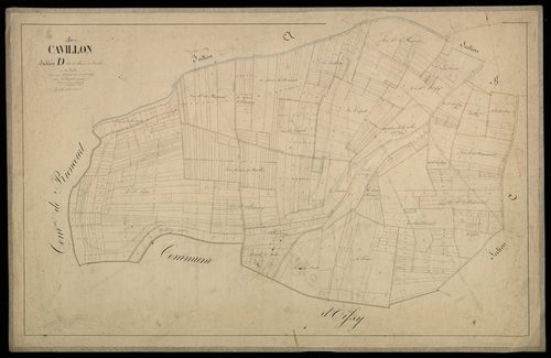 Plan du cadastre napoléonien - Cavillon : Chemin de Bovelles (Le), D