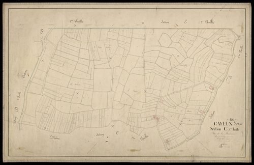Plan du cadastre napoléonien - Cayeux-sur-Mer (Cayeux sur Mer) : Malvoisine (La), C1