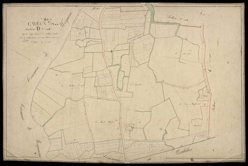 Plan du cadastre napoléonien - Cayeux-sur-Mer (Cayeux sur Mer) : Longs Fossés (Les) ; Mollières d'aval (Les), D2
