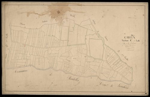 Plan du cadastre napoléonien - Cayeux-sur-Mer (Cayeux sur Mer) : Malvoisine (La), C2
