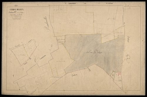 Plan du cadastre napoléonien - Cerisy-Buleux (Cerisy Buleux) : Buleux, C1