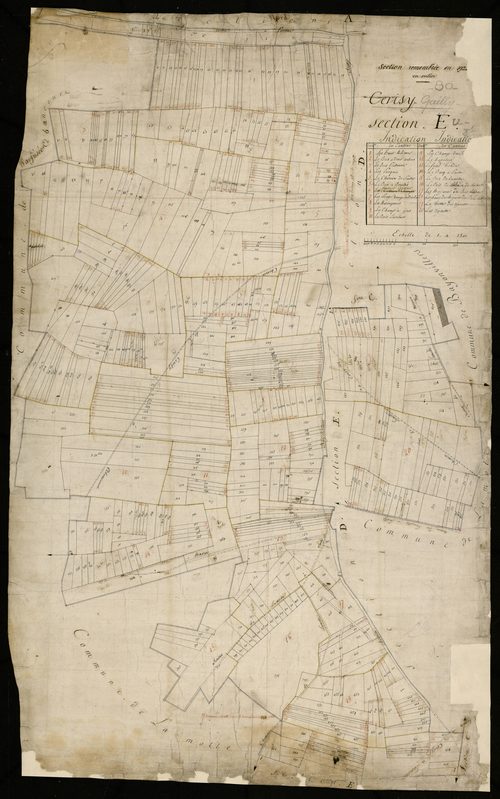 Plan du cadastre napoléonien - Cerisy : E