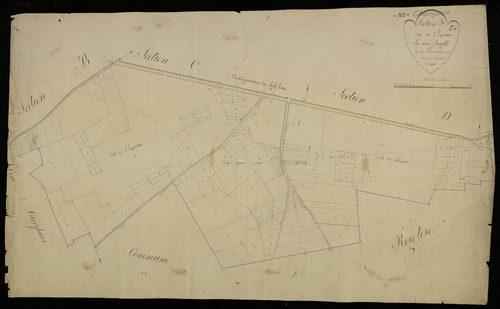 Plan du cadastre napoléonien - Champien : Epinette (L'), F