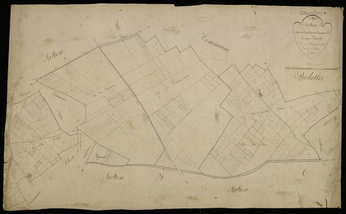 Plan du cadastre napoléonien - Champien : Plaine du Vieux Moulin (La), B
