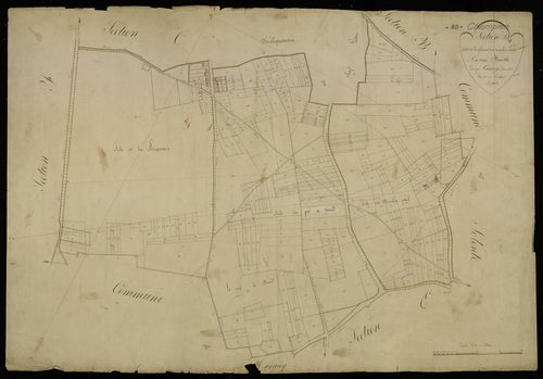 Plan du cadastre napoléonien - Champien : Plaine du Moulin Neuf (La), D