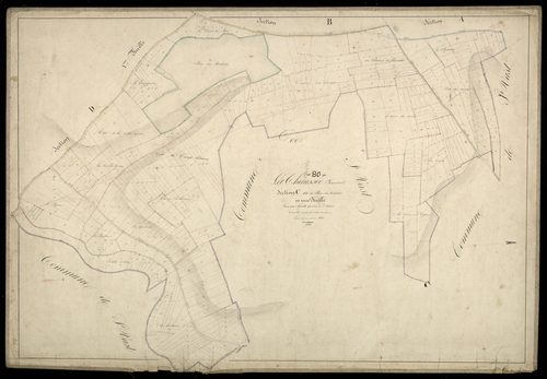 Plan du cadastre napoléonien - Chaussee-Tirancourt (La) : Bois des Malades (Le), C