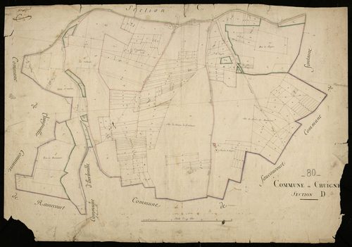Plan du cadastre napoléonien - Chuignes : D