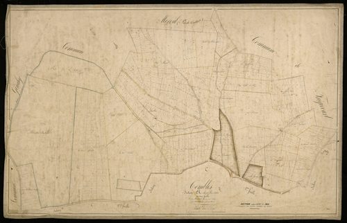 Plan du cadastre napoléonien - Combles : Bois d'Artois (Le), A