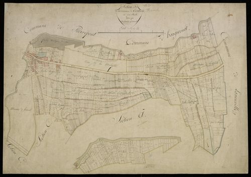Plan du cadastre napoléonien - Contoire : D et partie développée de D