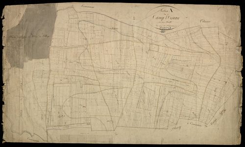 Plan du cadastre napoléonien - Contre : Camp l'oiseau (Le), A