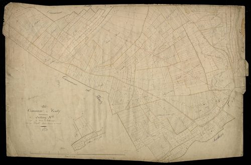 Plan du cadastre napoléonien - Conty : Chemin du Bellicants, A