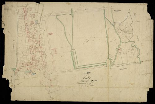 Plan du cadastre napoléonien - Conty (Wailly) : Chef-lieu (Le), D développée