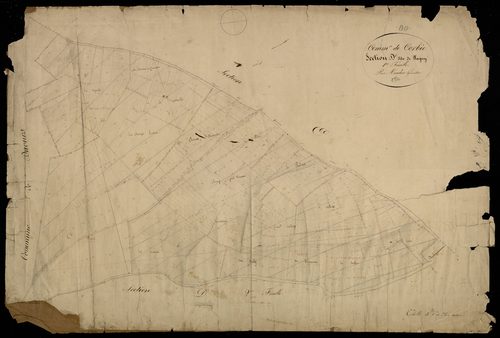 Plan du cadastre napoléonien - Corbie : Wagny, D1