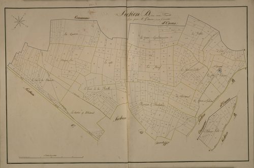 Plan du cadastre napoléonien - Coulonvillers : D