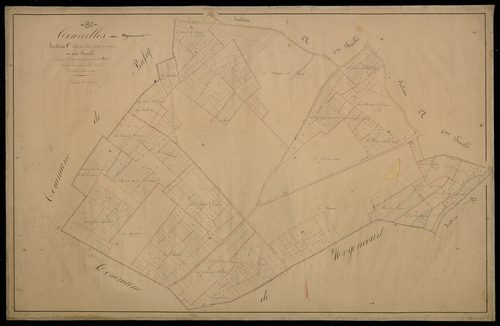 Plan du cadastre napoléonien - Courcelles-sous-Moyencourt (Courcelles) : Parc (Le) ; Coutures (Les), C