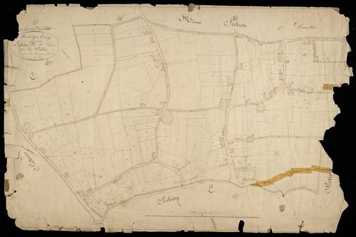 Plan du cadastre napoléonien - Crecy-en-Ponthieu (Crécy en Ponthieu) : Wallet (Le), D1