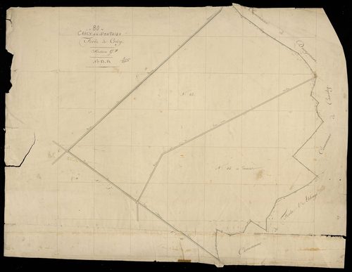 Plan du cadastre napoléonien - Crecy-en-Ponthieu (Crécy en Ponthieu) : G7