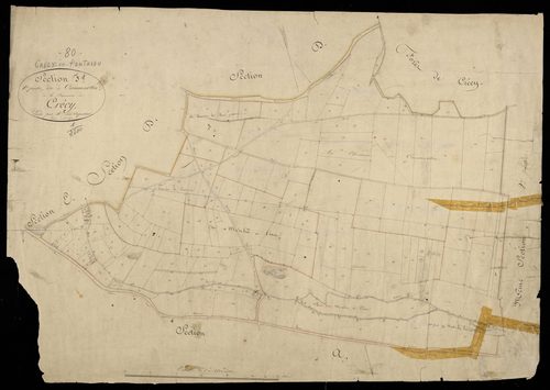 Plan du cadastre napoléonien - Crecy-en-Ponthieu (Crécy en Ponthieu) : Caumartin, F1