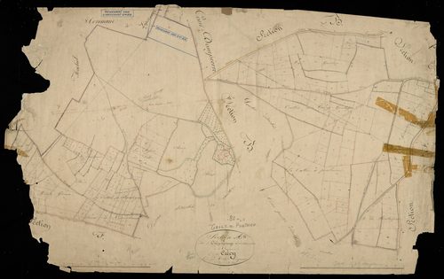 Plan du cadastre napoléonien - Crecy-en-Ponthieu (Crécy en Ponthieu) : Crécy Grange ; Vallée à Poulains (La), A