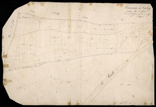 Plan du cadastre napoléonien - Crotoy (Le) : D2