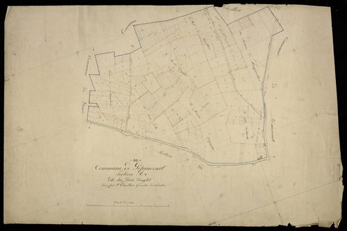 Plan du cadastre napoléonien - Dancourt-Popincourt (Popincourt) : Bois Lenglet (Le), A
