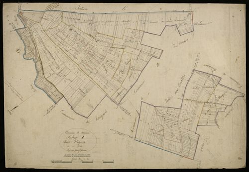 Plan du cadastre napoléonien - Demuin : Vignes (Les), F