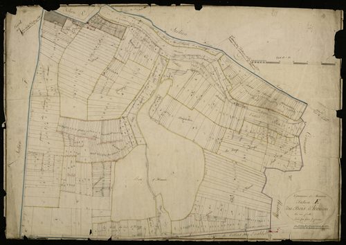 Plan du cadastre napoléonien - Demuin : Bois d'Hanon (Le), E