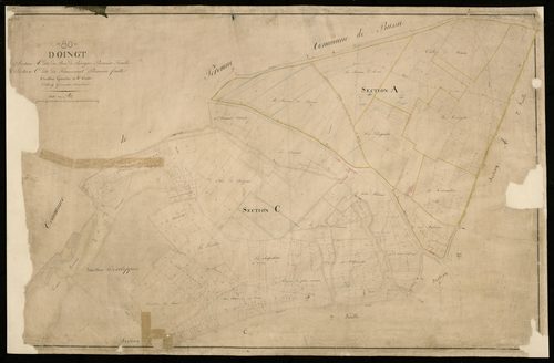 Plan du cadastre napoléonien - Doingt : Bois de Rocogne (Le) ; Flamicourt, A1 et C1