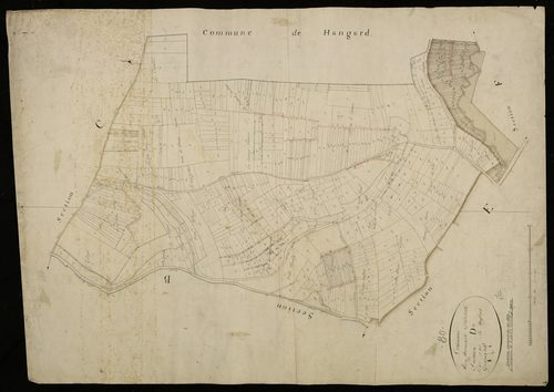Plan du cadastre napoléonien - Domart-sur-la-Luce (Domart) : D
